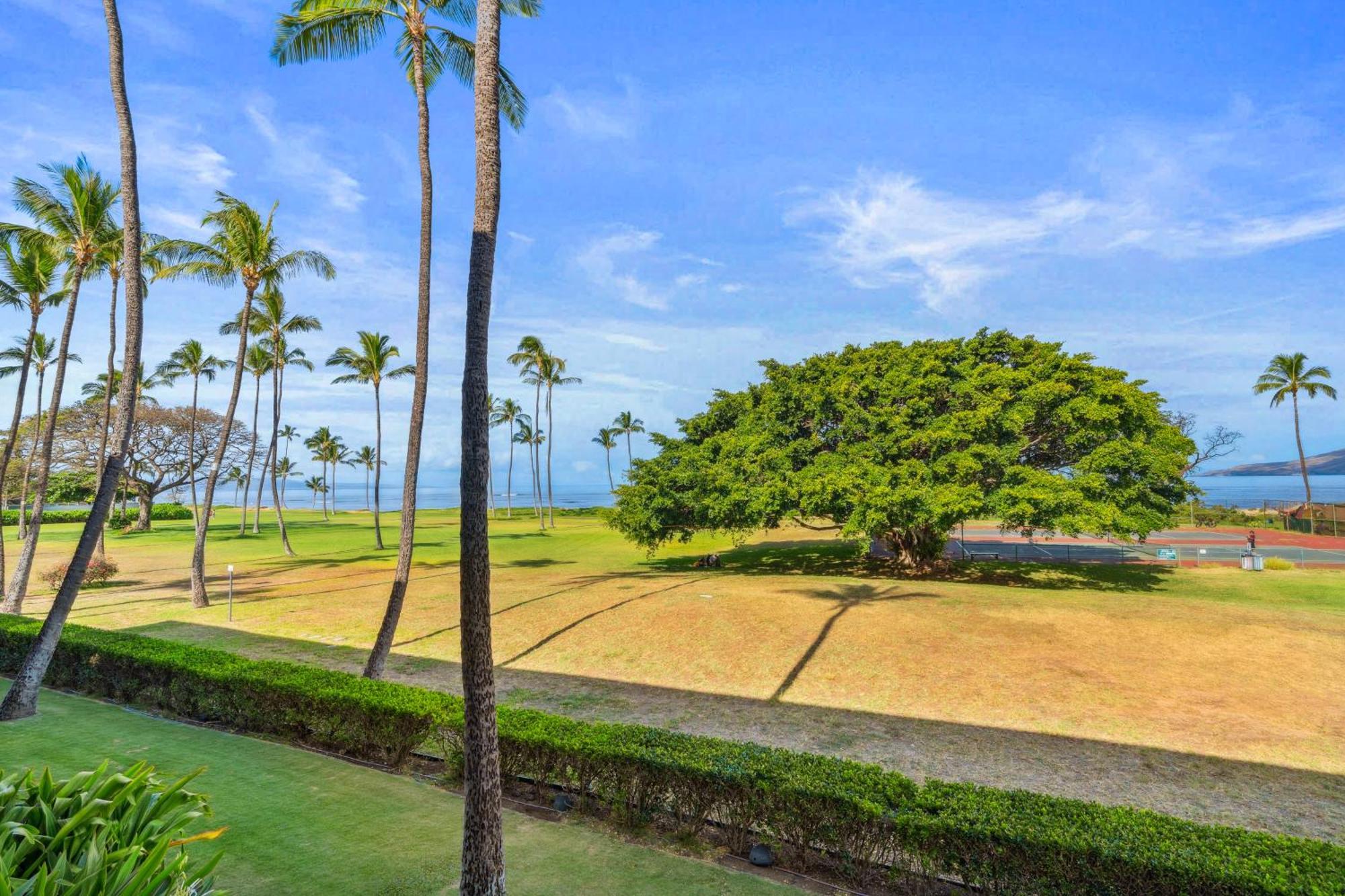 Maui Schooner Resort Kihei Buitenkant foto