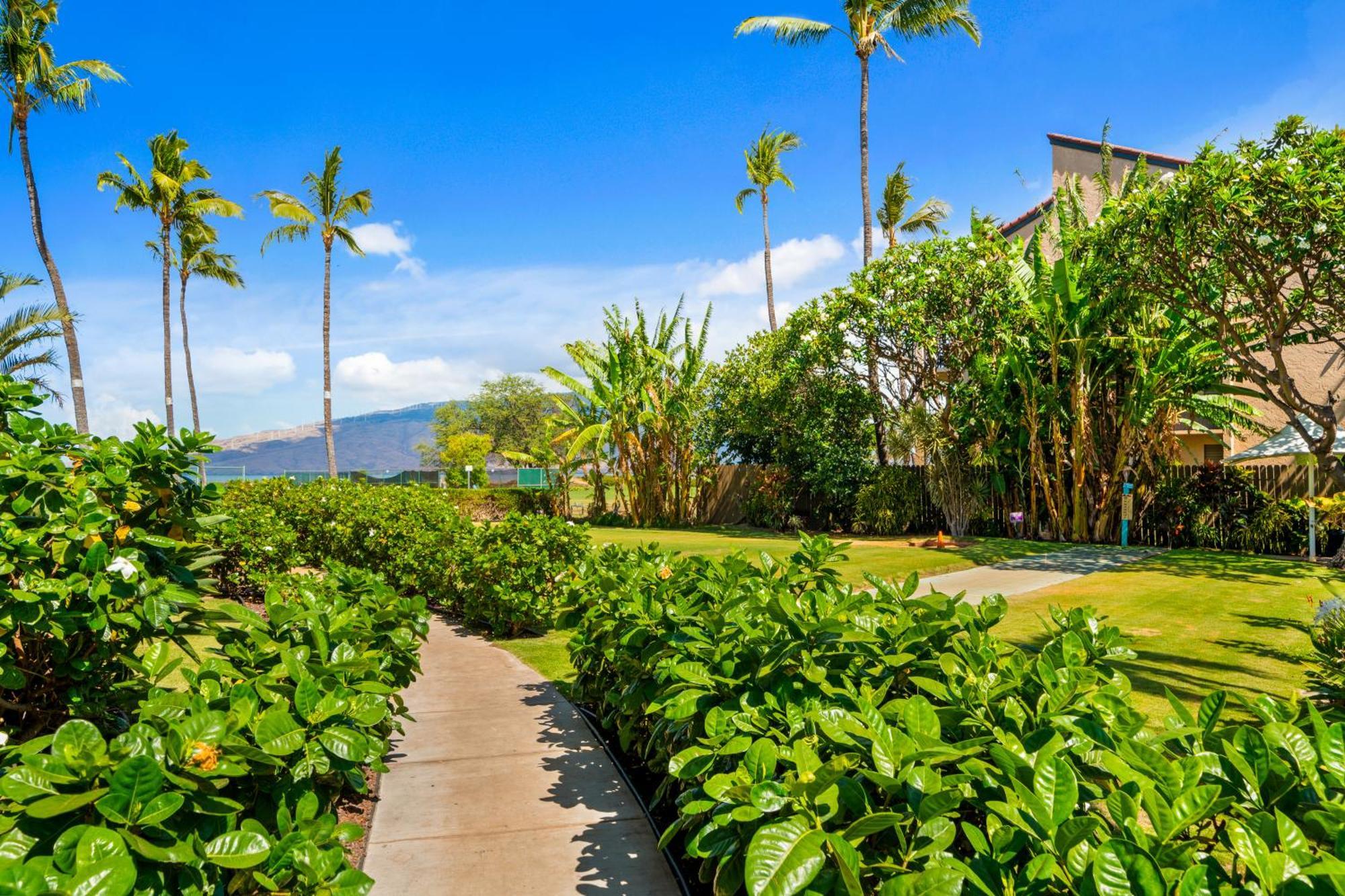 Maui Schooner Resort Kihei Buitenkant foto